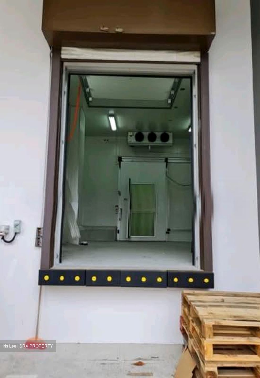 Owl International (D22), Factory #547286321